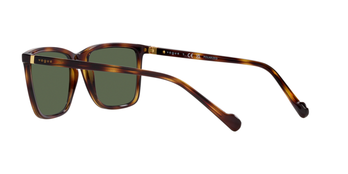 Vogue Sunglasses VO5493S 27189A