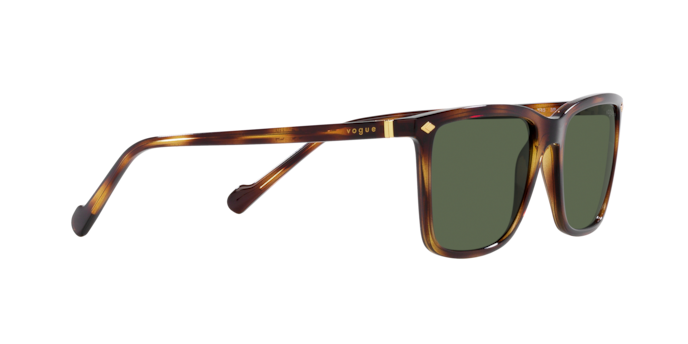 Vogue Sunglasses VO5493S 27189A