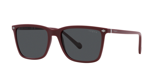 Vogue Sunglasses VO5493S 304887