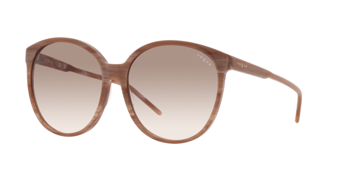 Vogue Sunglasses VO5509S 307113