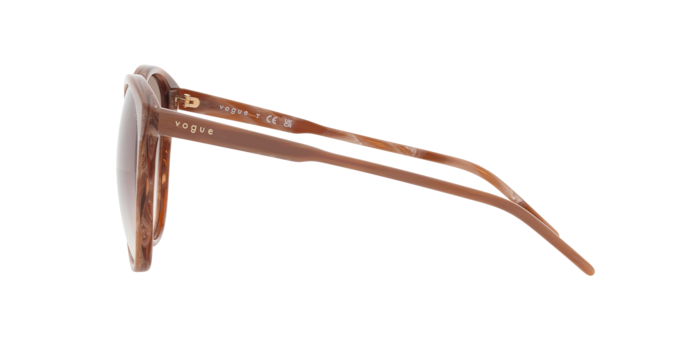 Vogue Sunglasses VO5509S 307113