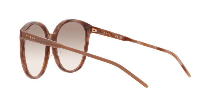 Vogue Sunglasses VO5509S 307113