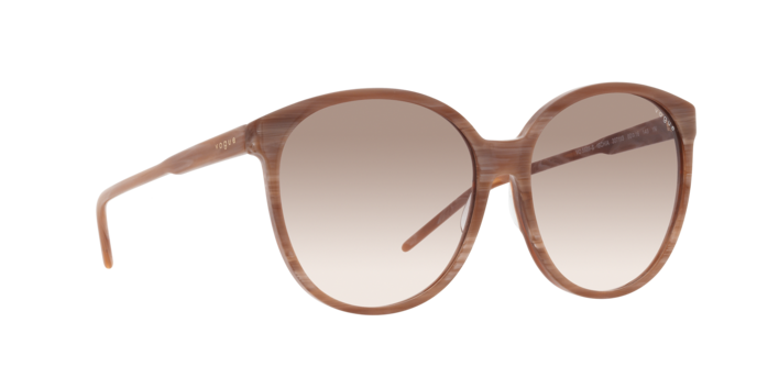 Vogue Sunglasses VO5509S 307113
