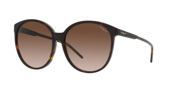 Vogue Sunglasses VO5509S W65613