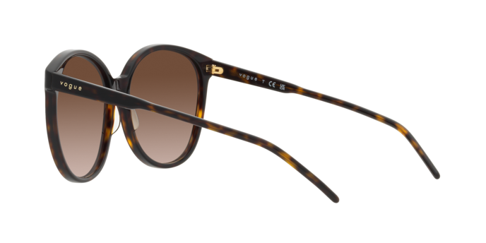 Vogue Sunglasses VO5509S W65613