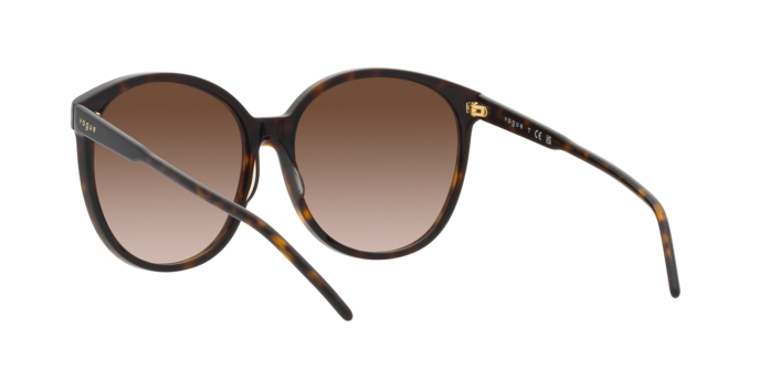 Vogue Sunglasses VO5509S W65613