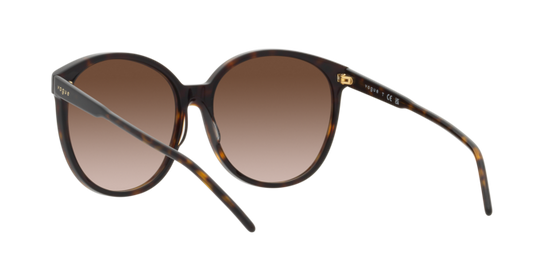 Vogue Sunglasses VO5509S W65613