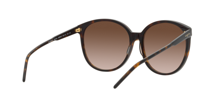 Vogue Sunglasses VO5509S W65613