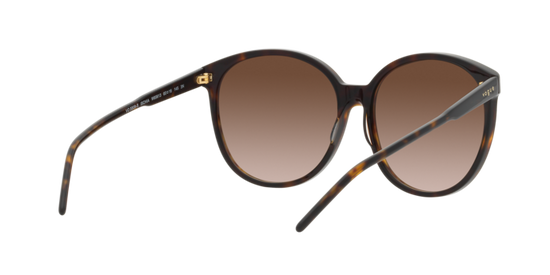 Vogue Sunglasses VO5509S W65613