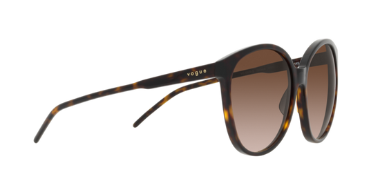 Vogue Sunglasses VO5509S W65613