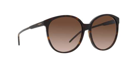 Vogue Sunglasses VO5509S W65613