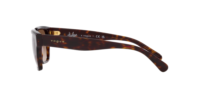 Vogue Sunglasses VO5512S W65613