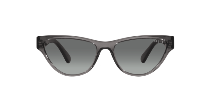 Vogue Sunglasses VO5513S 304511