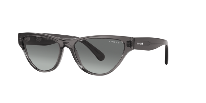 Vogue Sunglasses VO5513S 304511