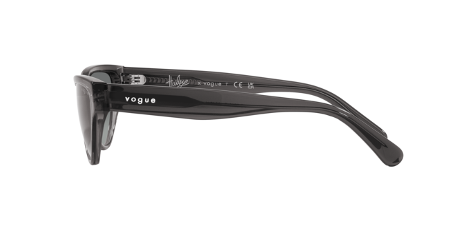 Vogue Sunglasses VO5513S 304511