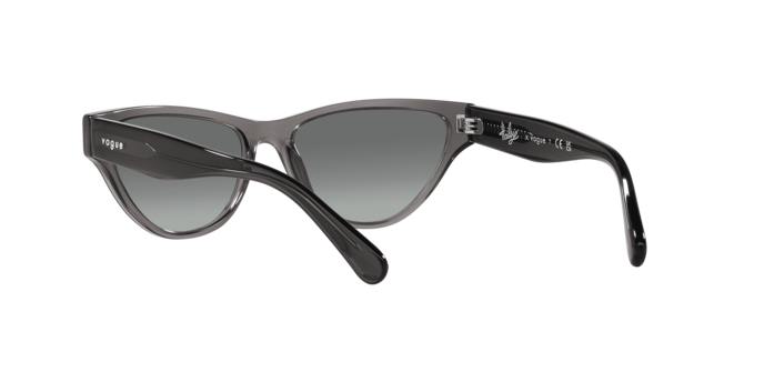 Vogue Sunglasses VO5513S 304511