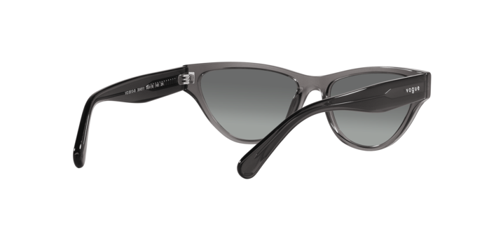Vogue Sunglasses VO5513S 304511