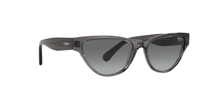 Vogue Sunglasses VO5513S 304511