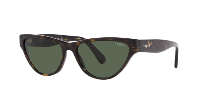 Vogue Sunglasses VO5513S W65671