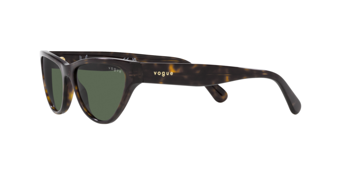 Vogue Sunglasses VO5513S W65671