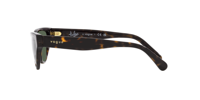 Vogue Sunglasses VO5513S W65671