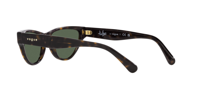 Vogue Sunglasses VO5513S W65671