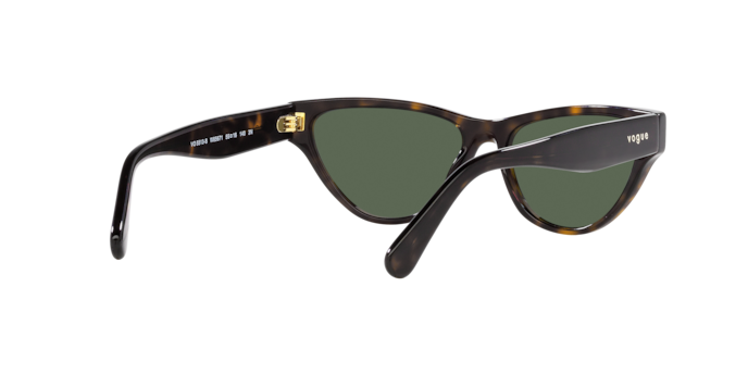 Vogue Sunglasses VO5513S W65671