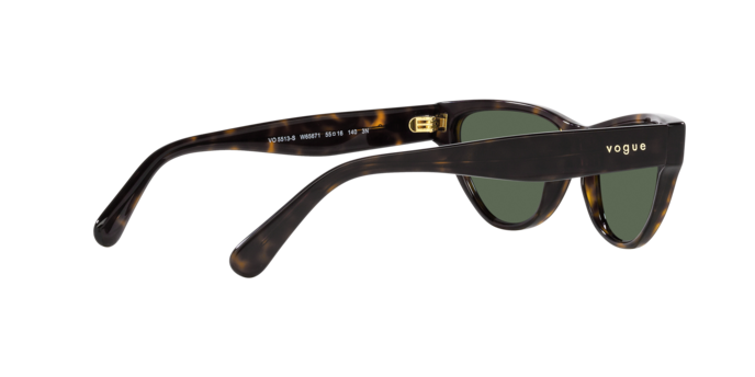 Vogue Sunglasses VO5513S W65671