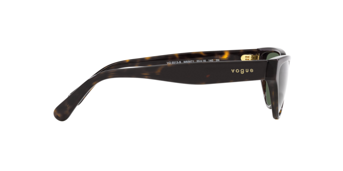 Vogue Sunglasses VO5513S W65671