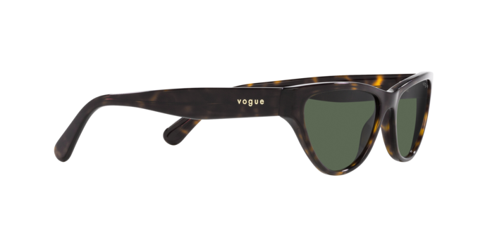 Vogue Sunglasses VO5513S W65671