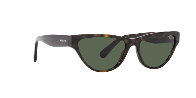 Vogue Sunglasses VO5513S W65671