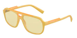 Dolce & Gabbana Sunglasses DG6179 3393M4