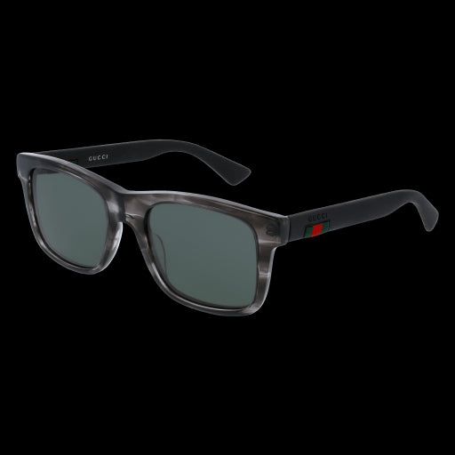 Gucci Sunglasses GG0008S 004