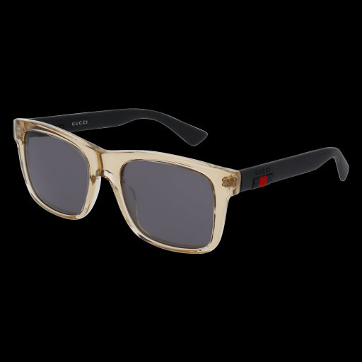 Gucci Sunglasses GG0008S 005