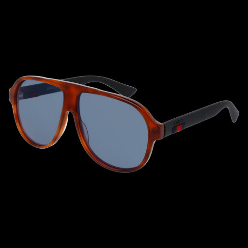 Gucci Sunglasses GG0009S 002