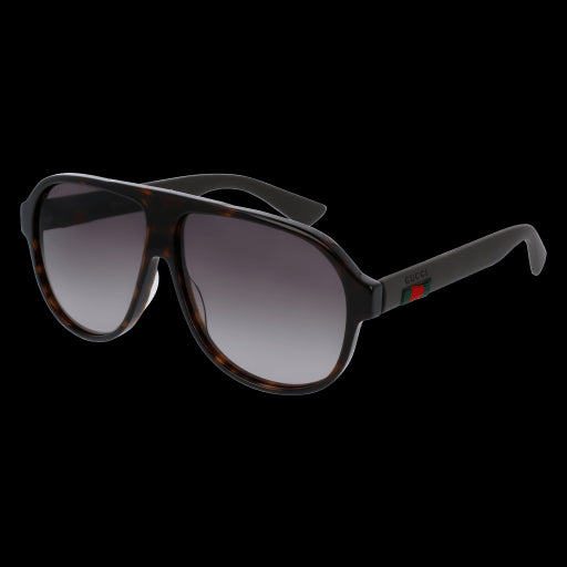 Gucci Sunglasses GG0009S 003