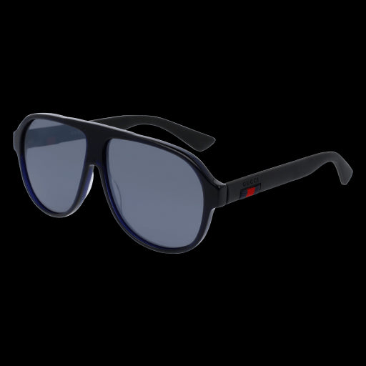 Gucci Sunglasses GG0009S 004