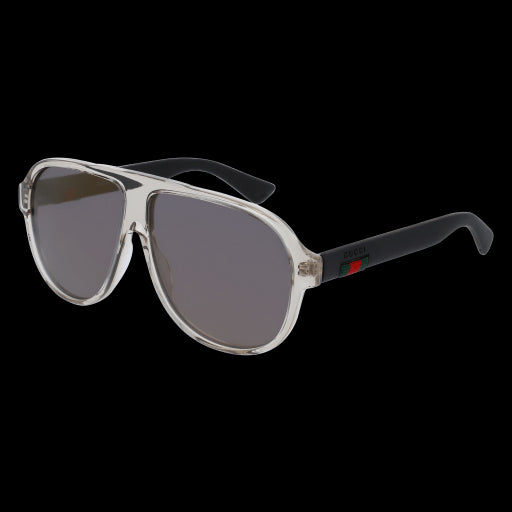 Gucci Sunglasses GG0009S 005