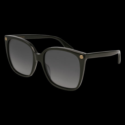 Gucci Sunglasses GG0022S 007