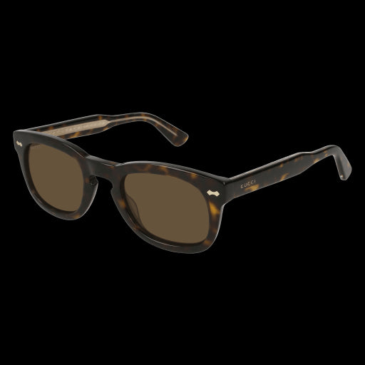 Gucci Sunglasses GG0182S 003