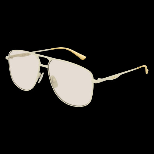 Gucci Sunglasses GG0336S 006