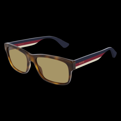 Gucci Sunglasses GG0340S 005