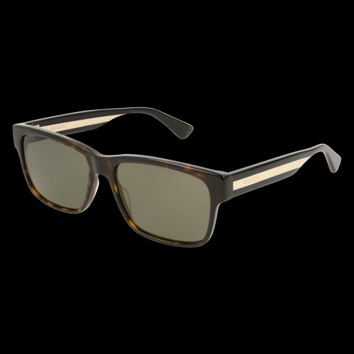 Gucci Sunglasses GG0340S 008