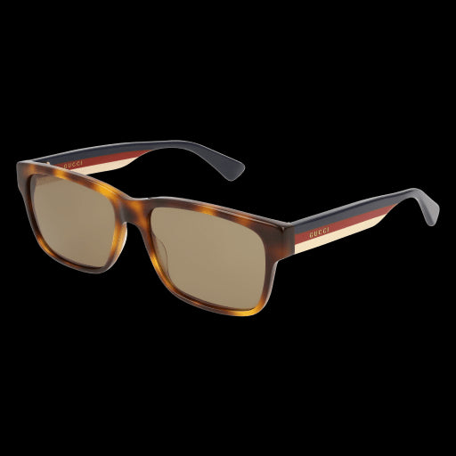 Gucci Sunglasses GG0340S 010