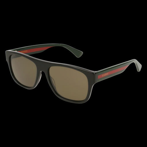 Gucci Sunglasses GG0341S 002