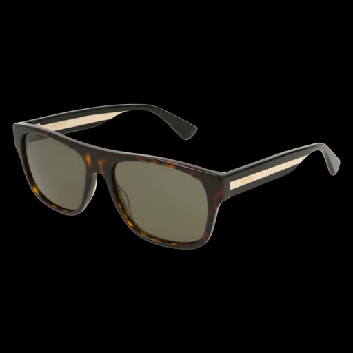 Gucci Sunglasses GG0341S 003