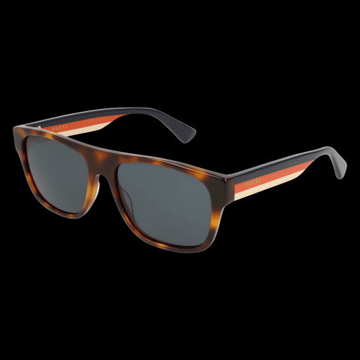 Gucci Sunglasses GG0341S 004