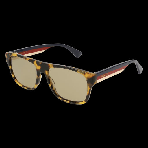 Gucci Sunglasses GG0341S 006