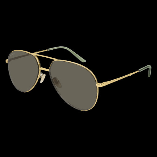Gucci Sunglasses GG0356S 005