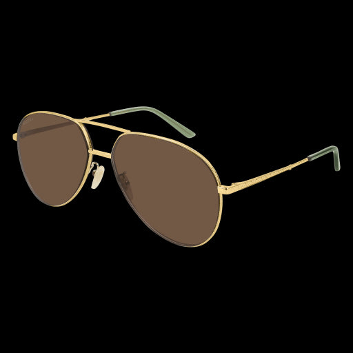 Gucci Sunglasses GG0356S 006